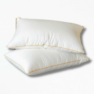 Coussin En Duvet D’oieGooseCush