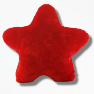 Coussin Etoile Rouge BlazeInfinity