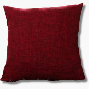 Coussin Rouge D’extérieur Écarlate