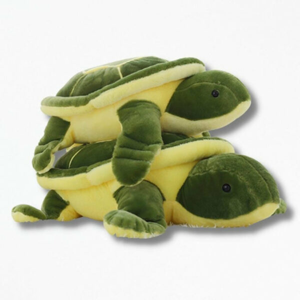 Coussin TortueCarapace douillette